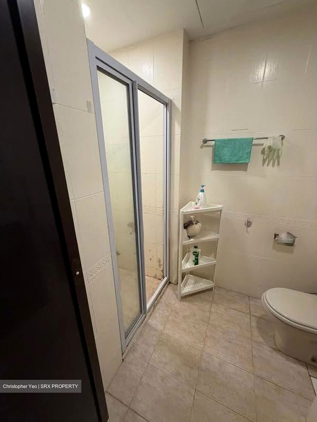 Eastpoint Green (D18), Condominium #615131171